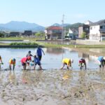 初夏の日差しが降り注ぐ中、励む子どもたち