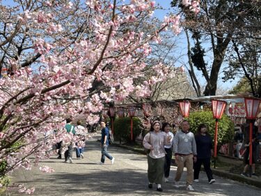 津山城の冠木門前2024年3月29日午後2時9分