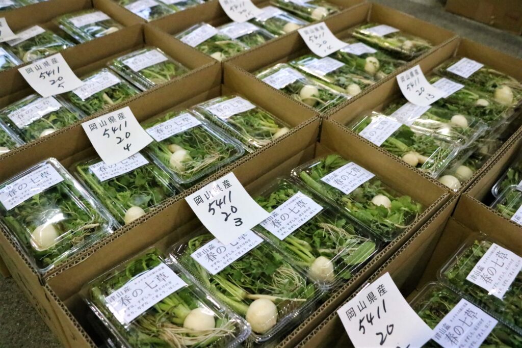 入荷した地物野菜の七草セット