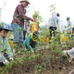 ミツバチの生態を守ろうと植樹する社員と家族たち=岡山県鏡野町で
