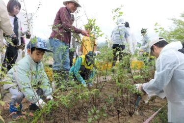 ミツバチの生態を守ろうと植樹する社員と家族たち=岡山県鏡野町で