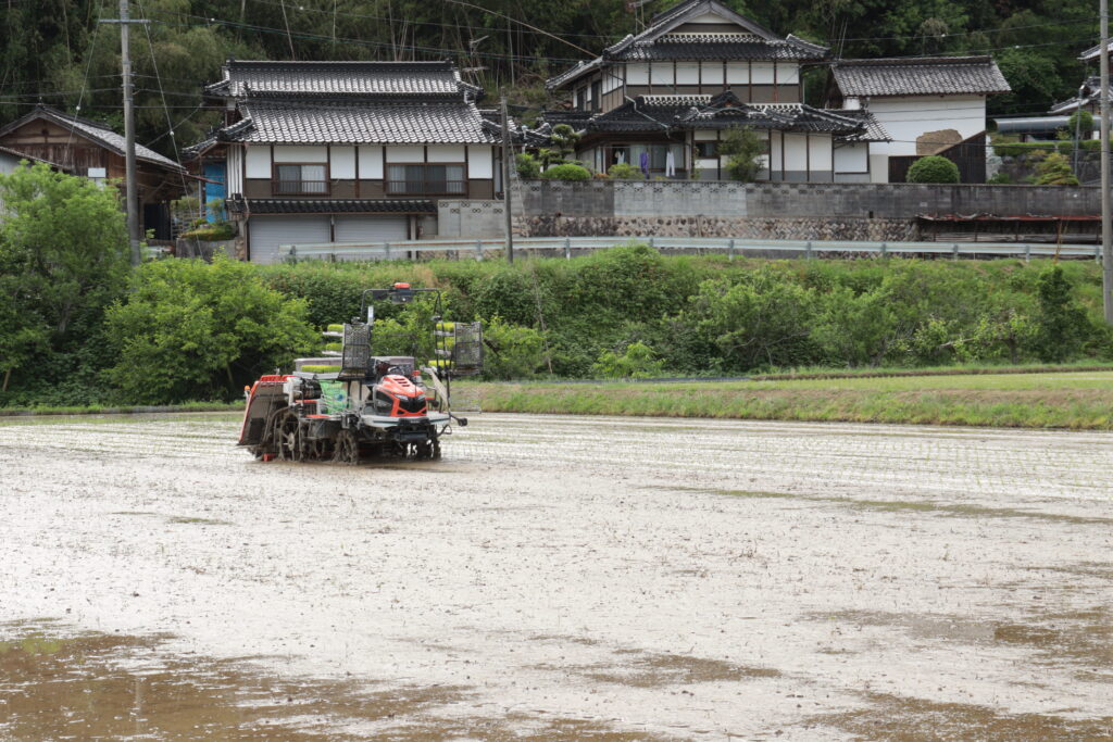 動く無人田植え機