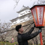 ぼんぼりの設置作業＝二の丸で