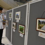 色とりどりに並んだ花壇のパネル=岡山県津山市で