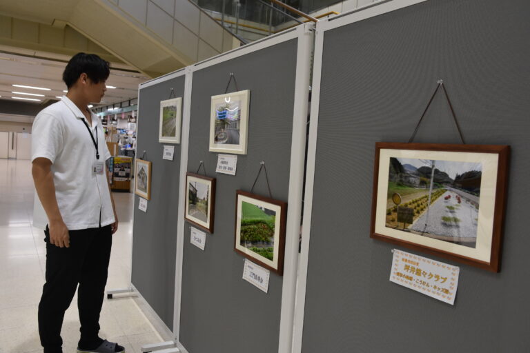 色とりどりに並んだ花壇のパネル=岡山県津山市で