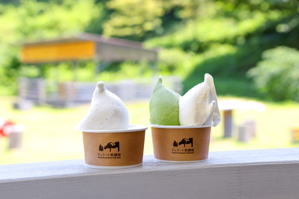 新鮮なジャージー牛のミルクと地産食材を掛け合わせたジェラート