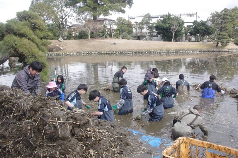 衆楽園の池を清掃する参加者=岡山県津山市で