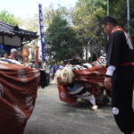 獅子舞の勇壮な地練り=岡山県津山市で