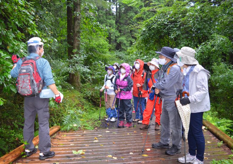 県立森林公園（鏡野町羽出、上斎原）で27日、「自然観察会」開催