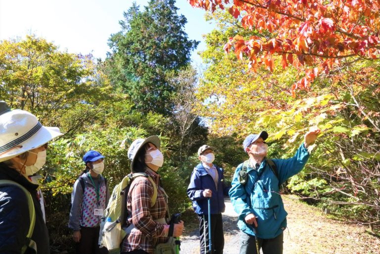 県立森林公園の自然観察会、開かれる