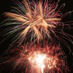 夜空を彩る鮮やかな大輪