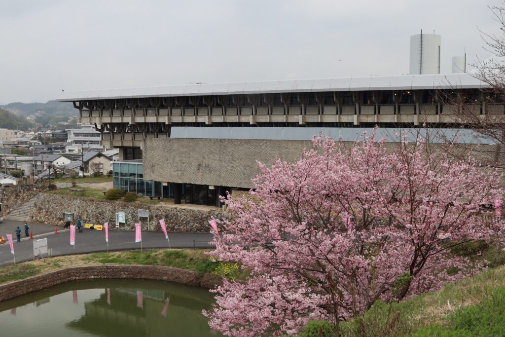 テラスカフェがある津山文化センターと桜=2024年3月31日午前9時17分