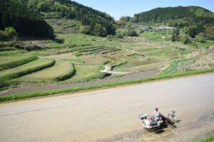 大垪和西の棚田で始まった田植え=岡山県美咲町で