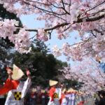 開幕に花を添えた津山情緒保存会の手踊り