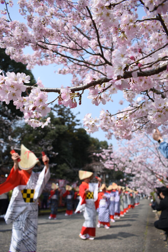 開幕に花を添えた津山情緒保存会の手踊り