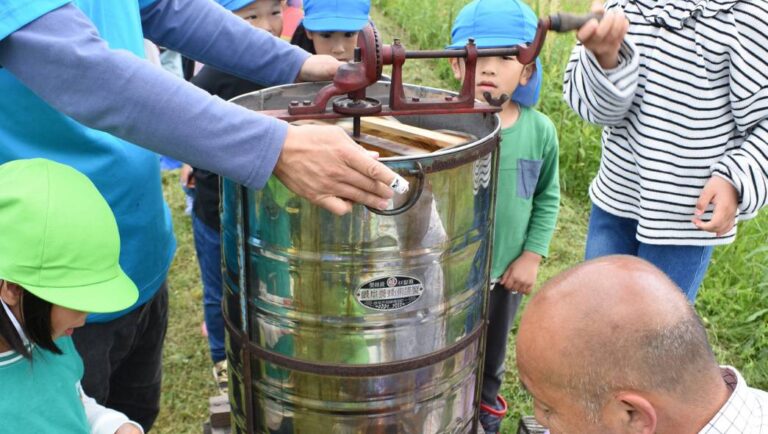 採蜜用の遠心分離機のハンドルを回す園児=岡山県津山市で