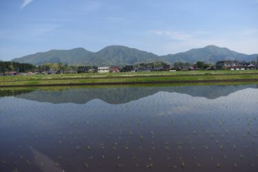 田植えが終わった水田に映り込む蒜山三座=岡山県真庭市で