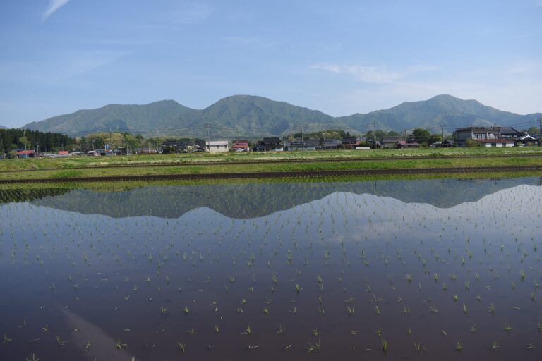 田植えが終わった水田に映り込む蒜山三座=岡山県真庭市で
