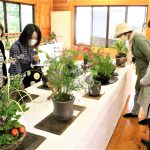 山野草趣味の会　展示会