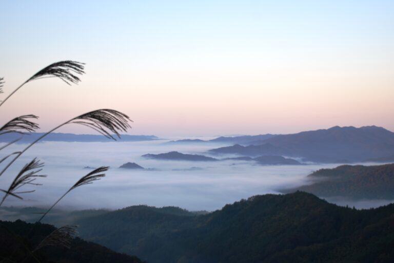黒沢山から眺めた幻想的な雲海=11月1日午前6時30分、岡山県津山市の黒沢山で