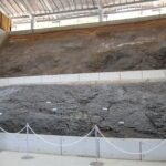 約1600万年前の地層の展示