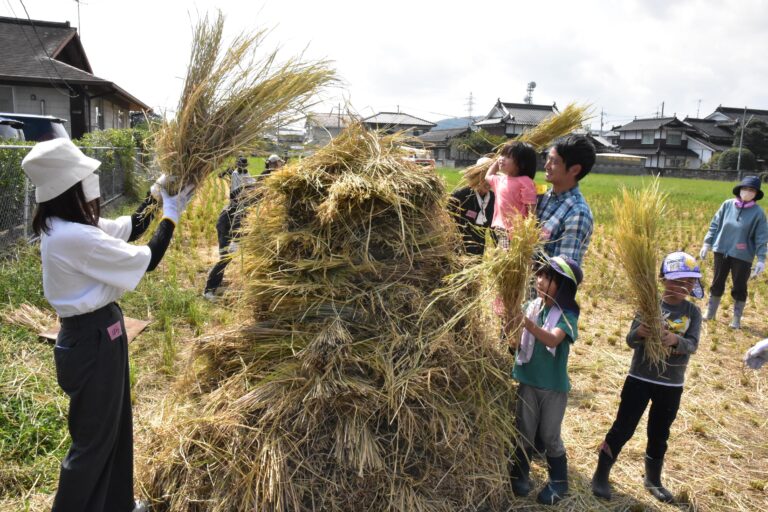 わらぐろづくりに挑戦する学生と子どもたち＝岡山・津山市で