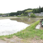 田植えの様子を見守る伊原木知事＝本山精耕園の水田で