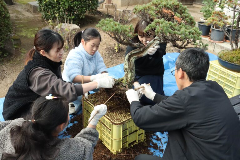 盆栽の植え替えを体験する参加者=岡山県津山市で