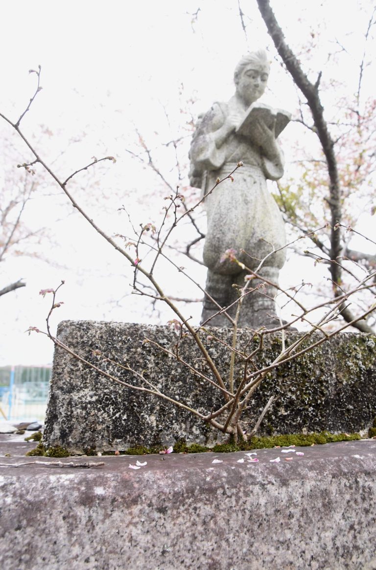 二宮尊徳像から桜