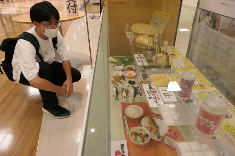 会場に展示している食品を模った模型=岡山県津山市で