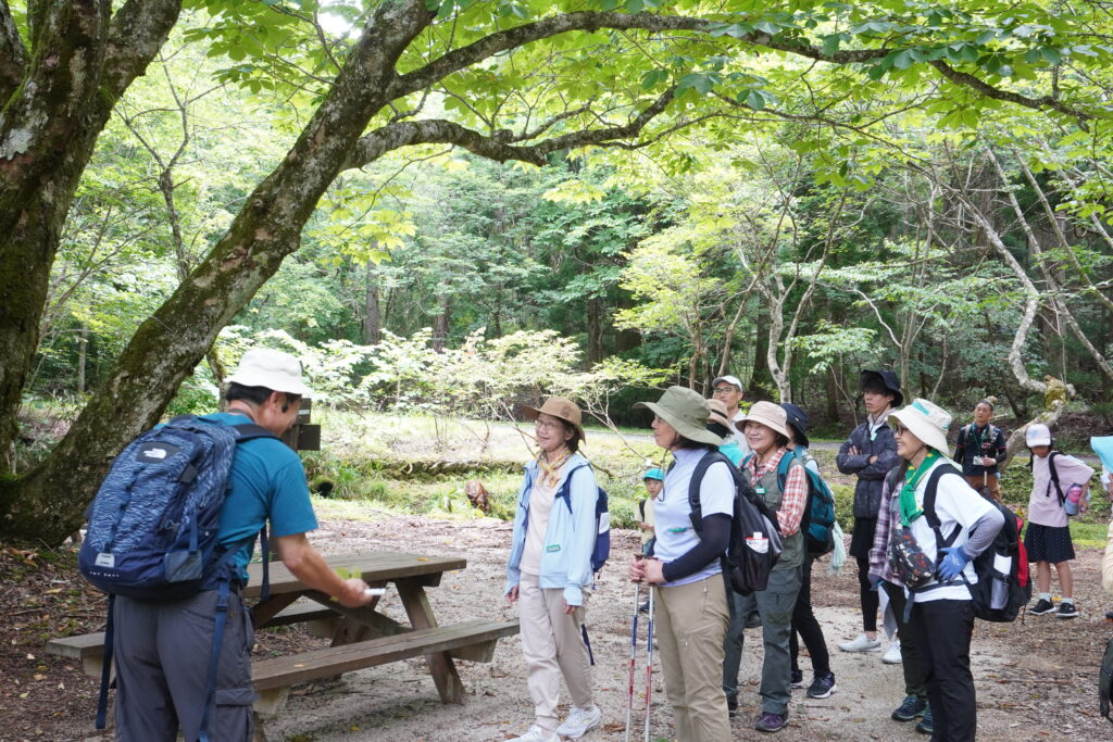 園内で散策を楽しむ参加者