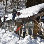 雪下し作業をする消防団員やボランティア＝阿波で