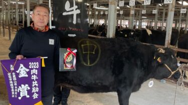 「絶品。ぜひ味わって」　肉牛生産者”援護”に高値　生体共励会で競り落とし／岡山・真庭市
