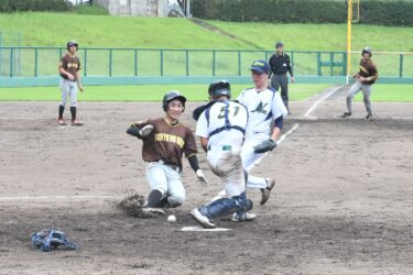 熱戦が繰り広げられた決勝（津山消防署ー日本植生）=岡山県津山市で