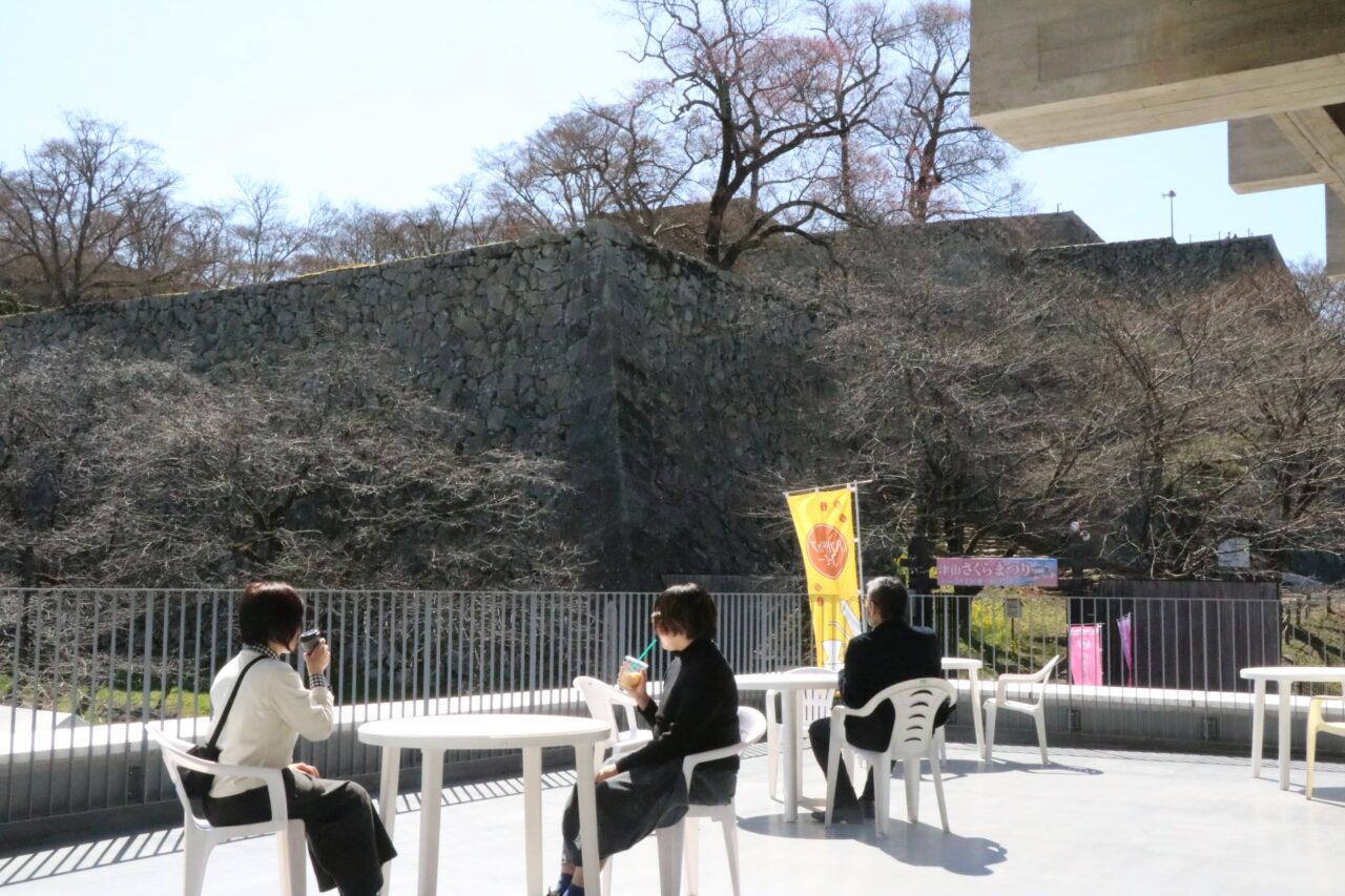 津山城の観桜が満喫できる屋外テラスのカフェ=岡山県津山市で