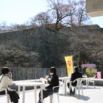 津山城の観桜が満喫できる屋外テラスのカフェ=岡山県津山市で