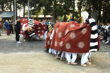 獅子舞の勇壮な地練り=岡山県津山市で