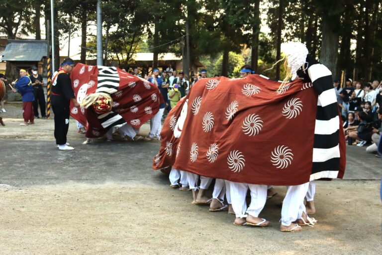 獅子舞の勇壮な地練り=岡山県津山市で