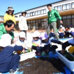 パンジーの苗植えに挑戦する園児たち=岡山県津山市で