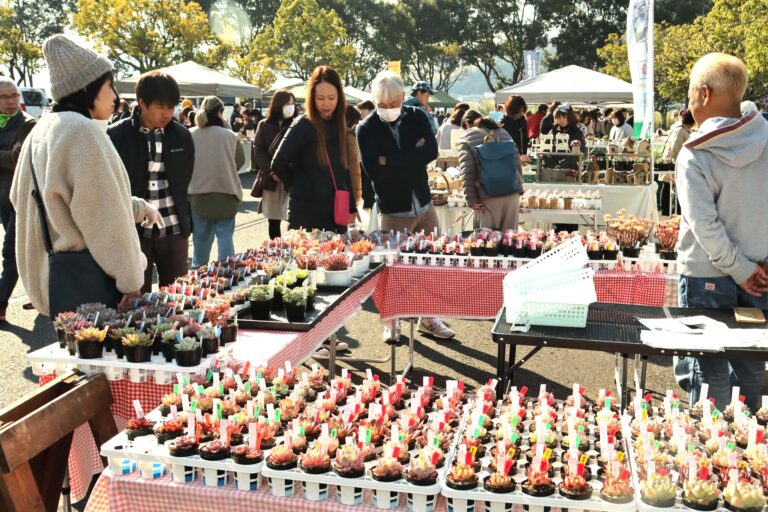 多種多様な多肉植物を買い求める人たち=岡山県津山市で