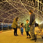 湯郷温泉周辺のライトアップイベント