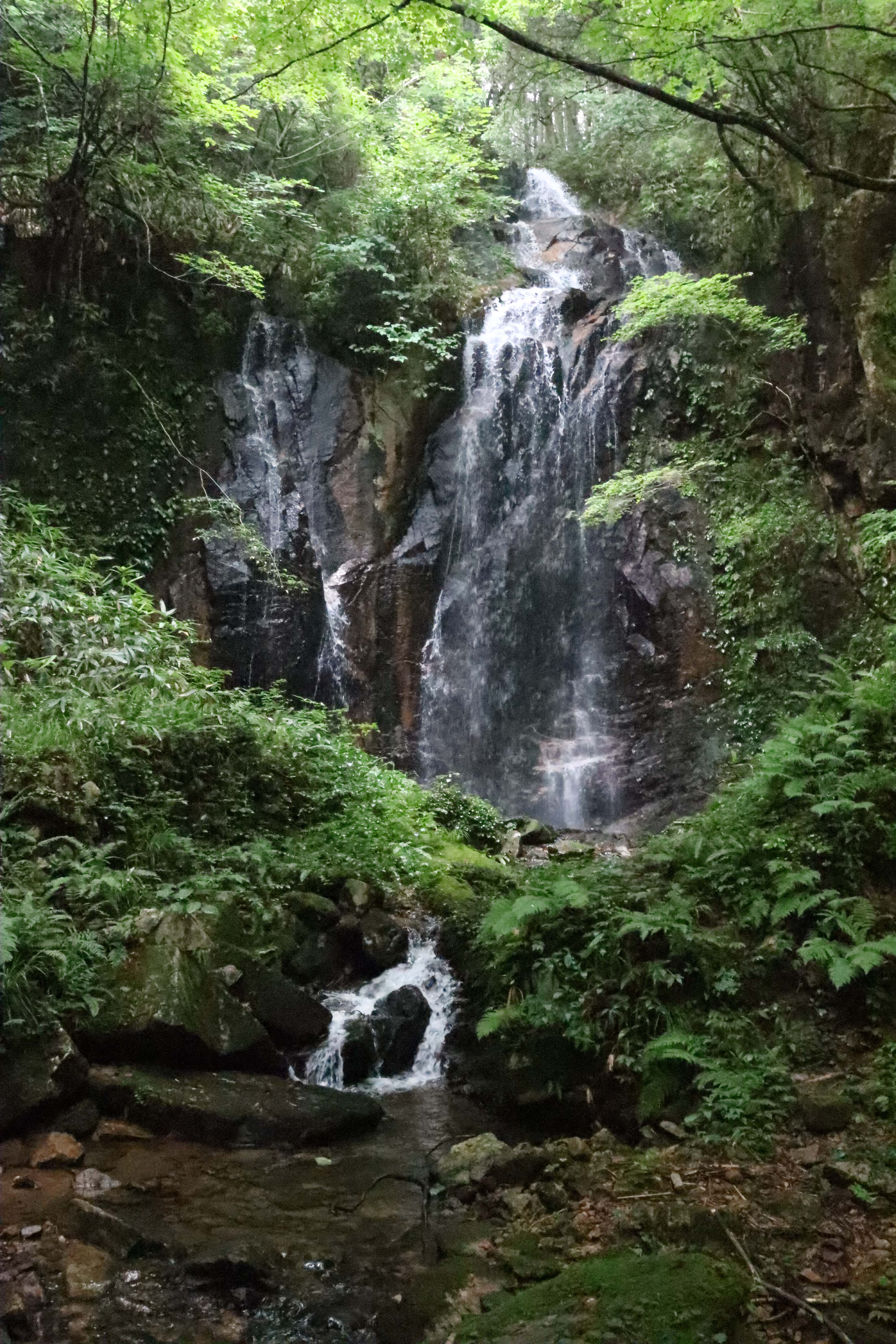トヤの夫婦滝では行楽客らが天然の涼を満喫している／岡山・津山市