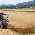 小気味よい音を響かせるコンバイン