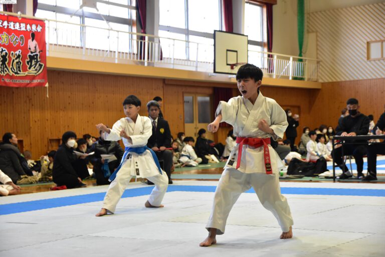 日頃から鍛えた技を競う参加者=岡山県津山市山北の東小学校体育館で