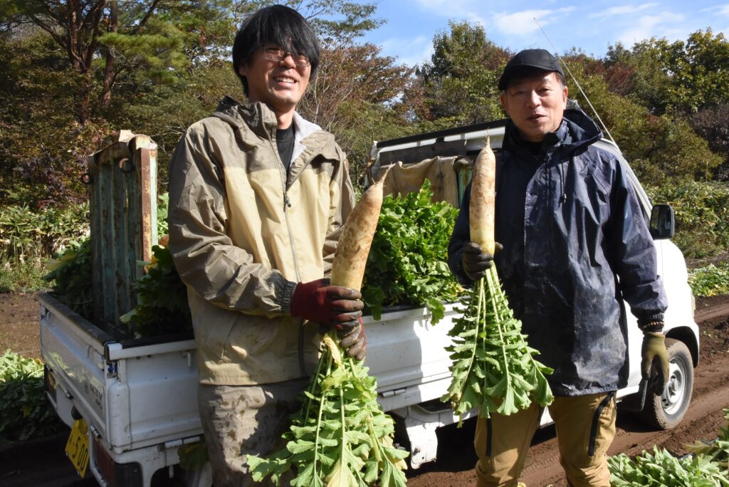 “寒締め栽培”で甘み増す蒜山こだわり大根