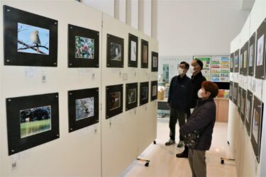 ”冬の鳥”鮮明に　「作州野鳥の会」が写真展　「自然環境にも目を向けて」／岡山・津山市