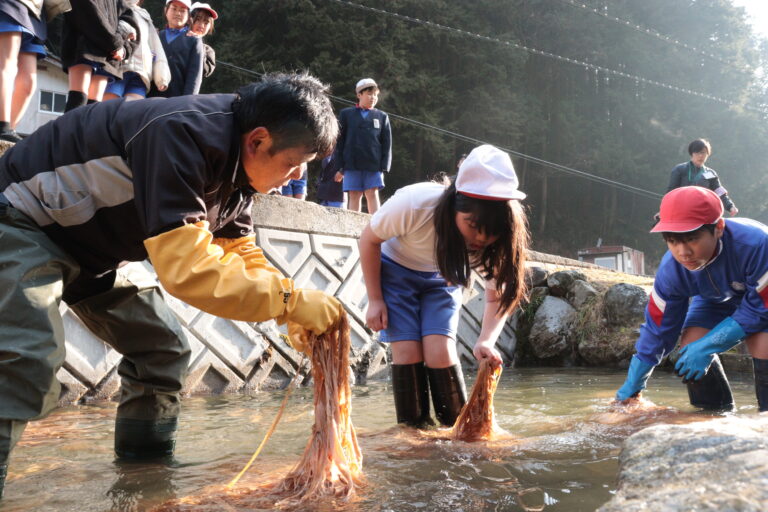 「川ざらし」を体験する高田小の5年生=岡山県津山市で