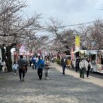 三の丸にならぶグルメブース=2024年3月31日午前10時38分