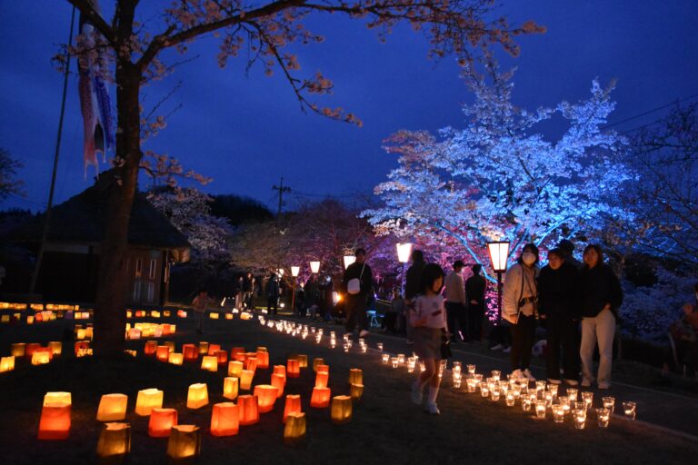 キャンドルと夜桜の競演=岡山県美咲町で