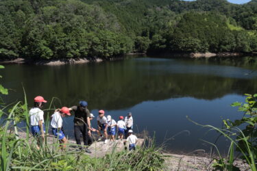 樋ノ内池を見学する高田小4年生＝岡山県津山市で